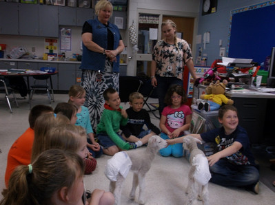 2015 Little Lambs Visit Luck Elementary - Photo Number 6