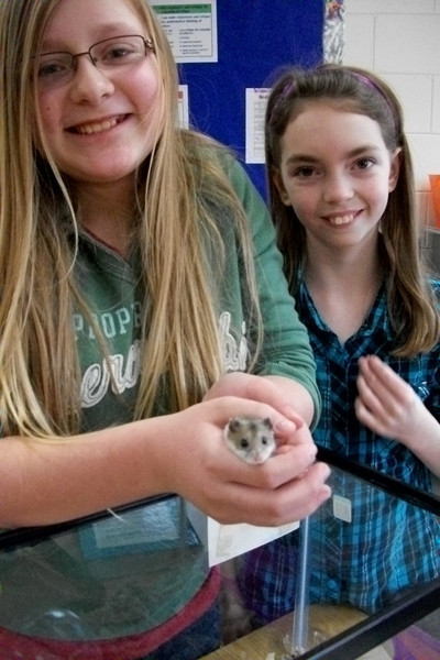 2015 Critter Care ~ Luck Elementary - Photo Number 7