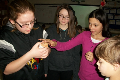 2015 Critter Care ~ Luck Elementary - Photo Number 5