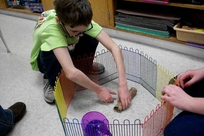 2015 Critter Care ~ Luck Elementary - Photo Number 6