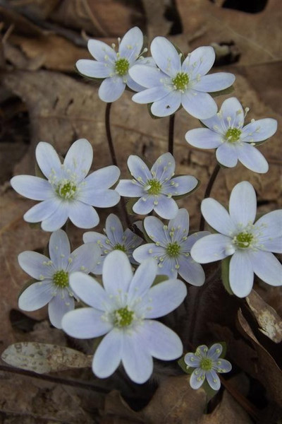 2015 Spring 6th Grade SCF Field Trip - Photo Number 5