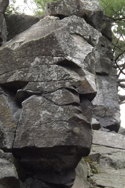 2015 Spring 6th Grade SCF Field Trip - Photo Number 7