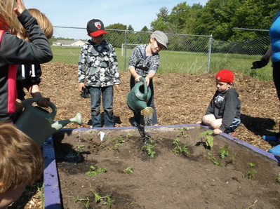 2015 Harvest Garden Planting Day - Photo Number 12
