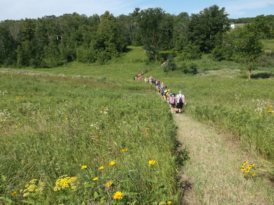 2105 Summer Saunters - Photo Number 5