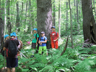 2105 Summer Saunters - Photo Number 16