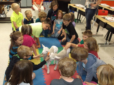 2015 Little Lambs Visit Luck Elementary - Photo Number 4