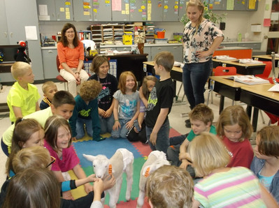 2015 Little Lambs Visit Luck Elementary - Photo Number 5