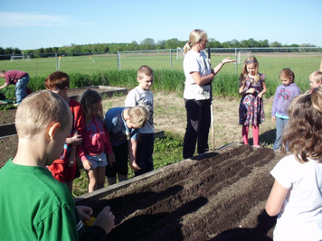 Harvest Garden photo