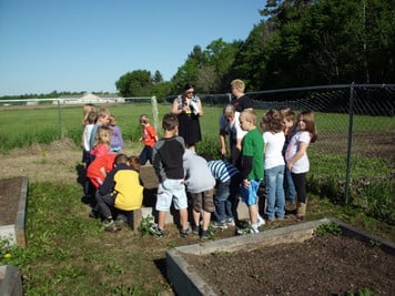 Harvest Garden photo