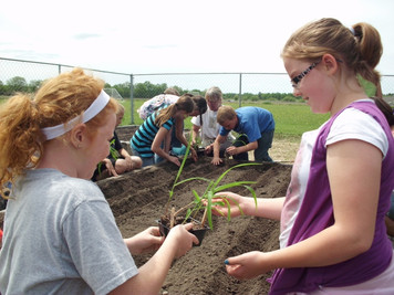 Harvest Garden photo