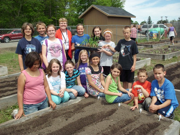 Harvest Garden photo