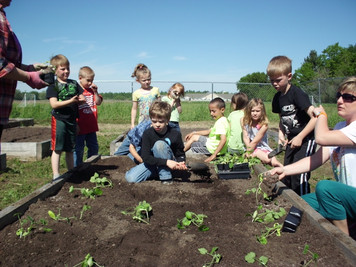 Harvest Garden photo