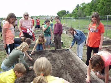 Harvest Garden photo