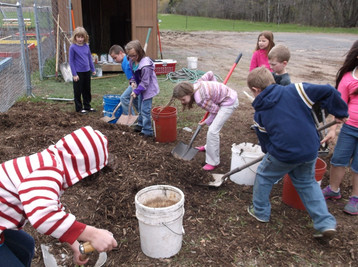 Harvest Garden photo