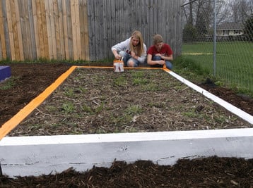 Harvest Garden photo