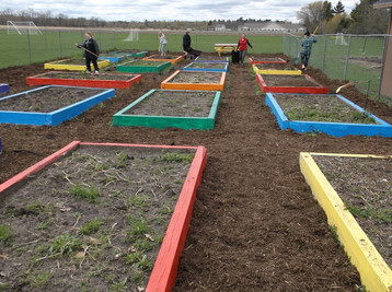 Harvest Garden photo