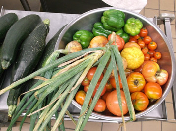 Harvest Garden photo