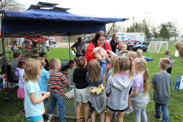 children petting a duck