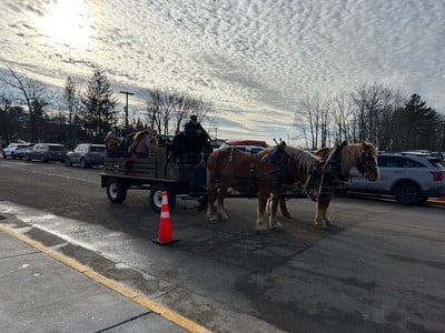 horse drawn wagon