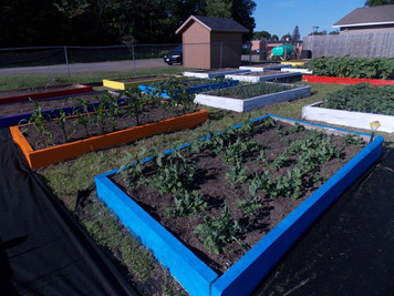 Harvest Garden photo