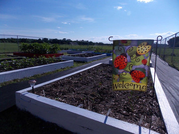 Harvest Garden photo