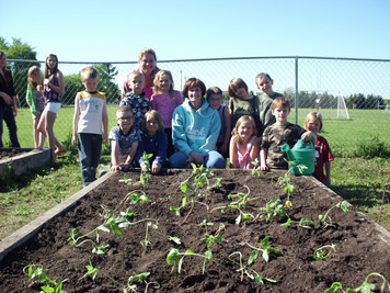 Harvest Garden photo