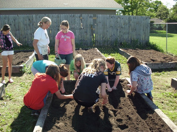 Harvest Garden photo