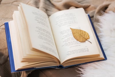 open book with a leaf on it